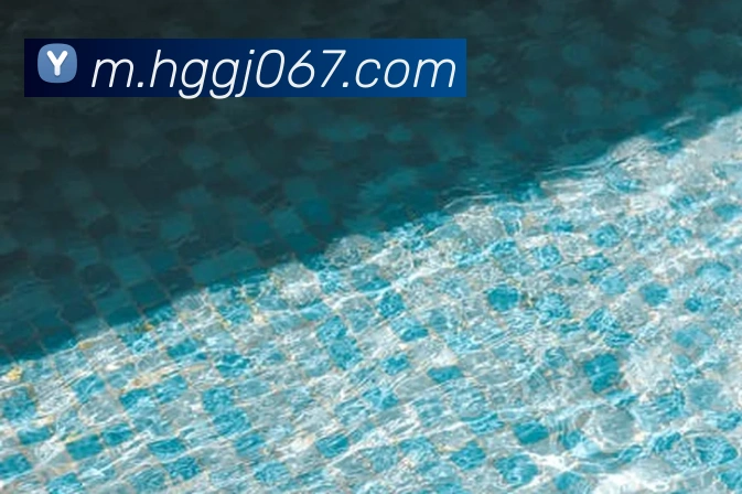 App Interface Preview